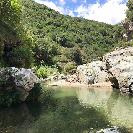 Ferula Romantica Mansarda Tra Fiumi E Montagne Sardegna Seùlo エクステリア 写真