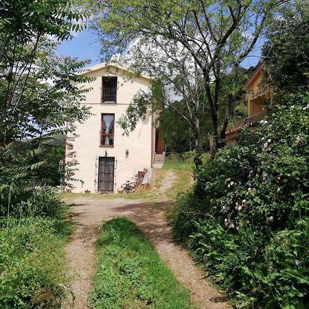 Ferula Romantica Mansarda Tra Fiumi E Montagne Sardegna Seùlo エクステリア 写真