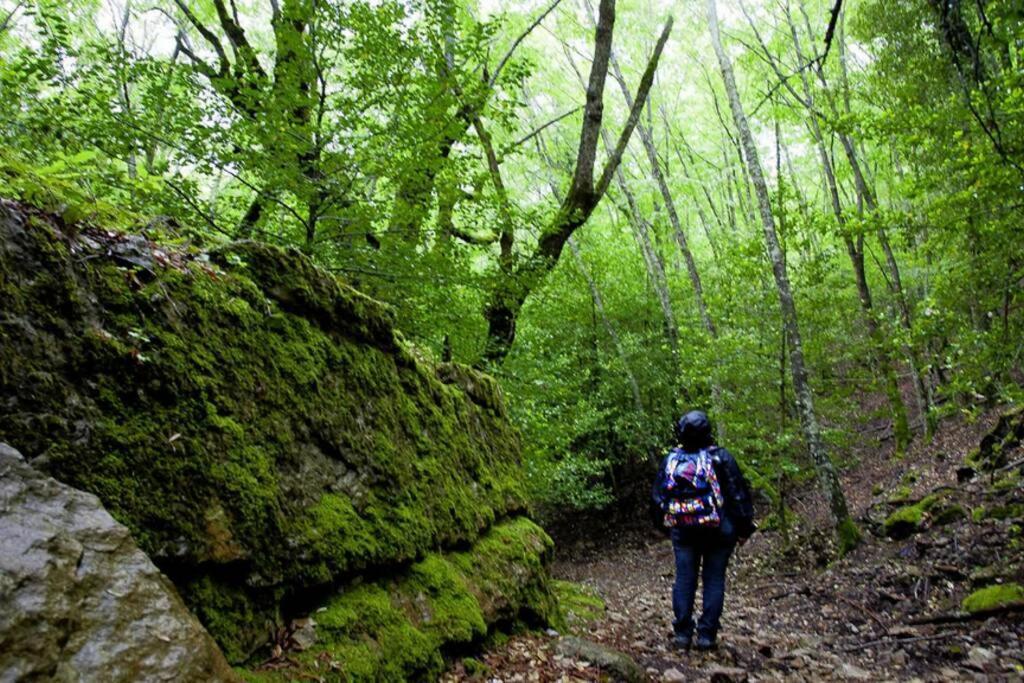 Ferula Romantica Mansarda Tra Fiumi E Montagne Sardegna Seùlo エクステリア 写真