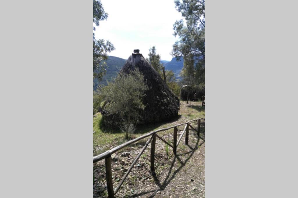 Ferula Romantica Mansarda Tra Fiumi E Montagne Sardegna Seùlo エクステリア 写真