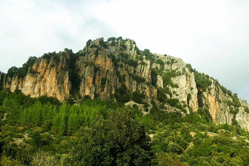 Ferula Romantica Mansarda Tra Fiumi E Montagne Sardegna Seùlo エクステリア 写真