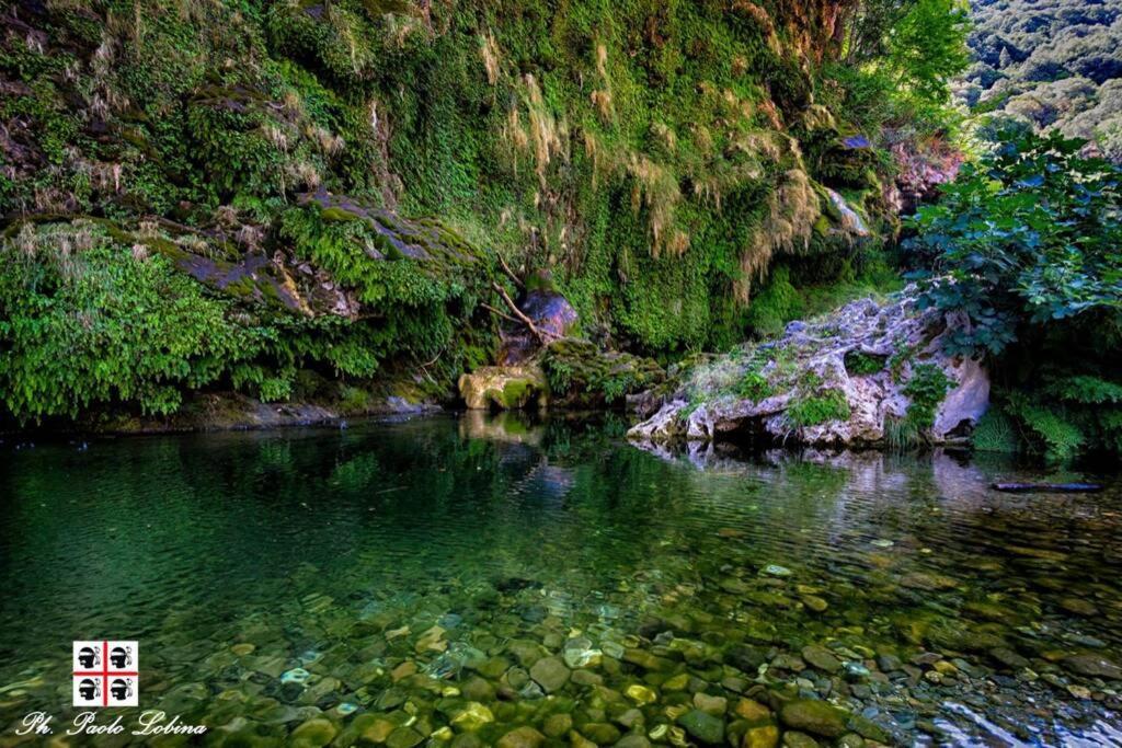 Ferula Romantica Mansarda Tra Fiumi E Montagne Sardegna Seùlo エクステリア 写真