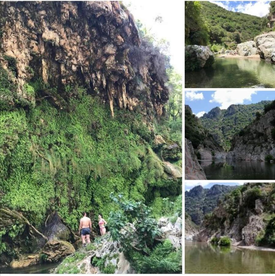 Ferula Romantica Mansarda Tra Fiumi E Montagne Sardegna Seùlo エクステリア 写真