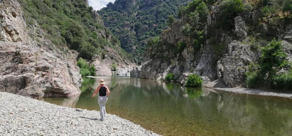 Ferula Romantica Mansarda Tra Fiumi E Montagne Sardegna Seùlo エクステリア 写真