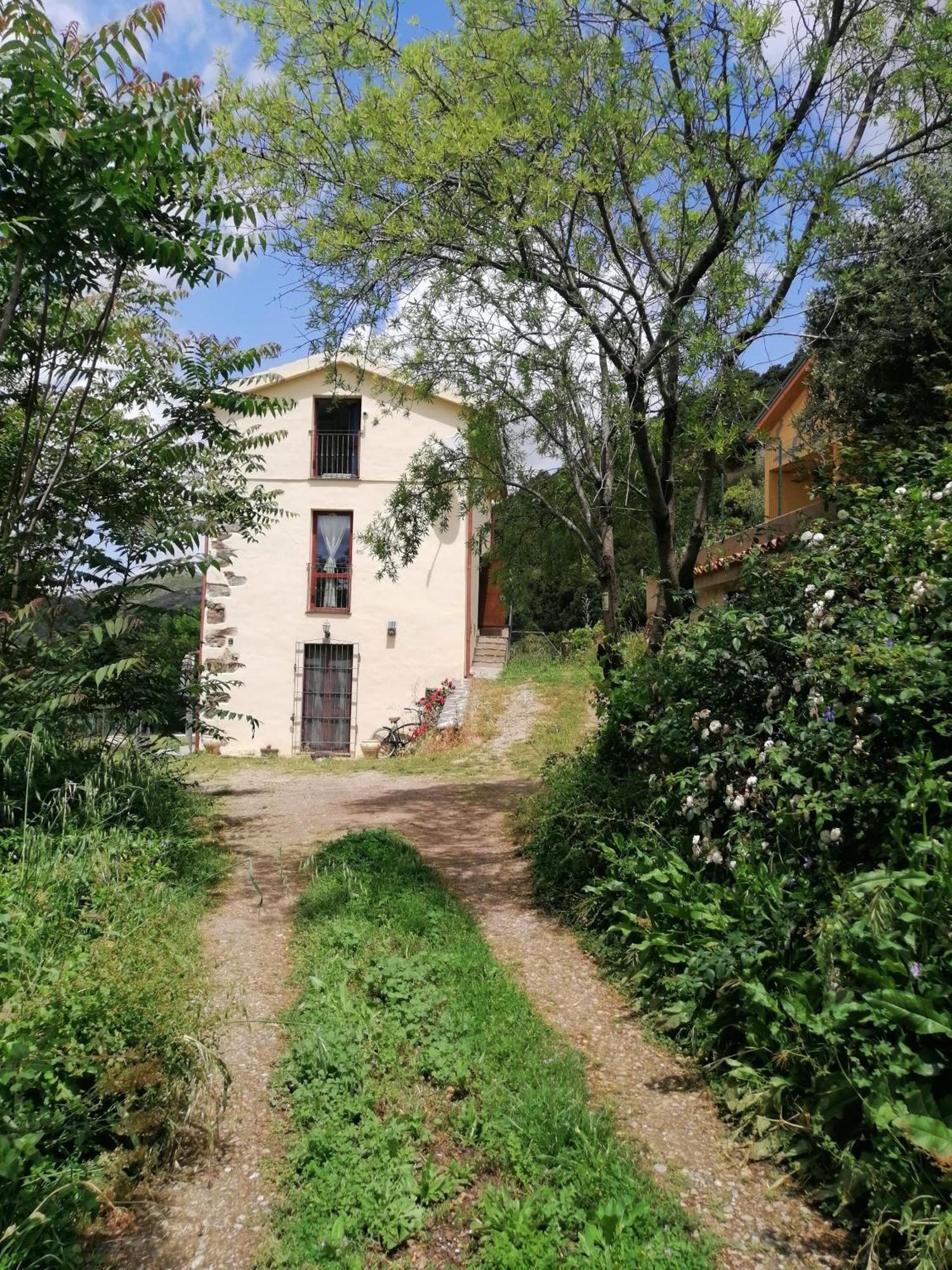 Ferula Romantica Mansarda Tra Fiumi E Montagne Sardegna Seùlo エクステリア 写真